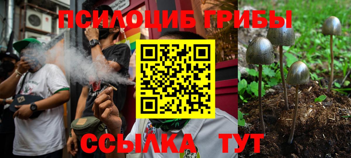Псилоцибиновые грибы MAGIC MUSHROOMS Воткинск